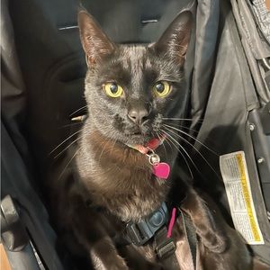 Meet your Posher, Vanessa